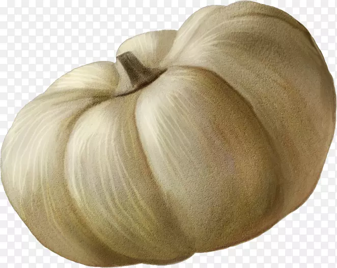 �߲˴��������-�߲�-������