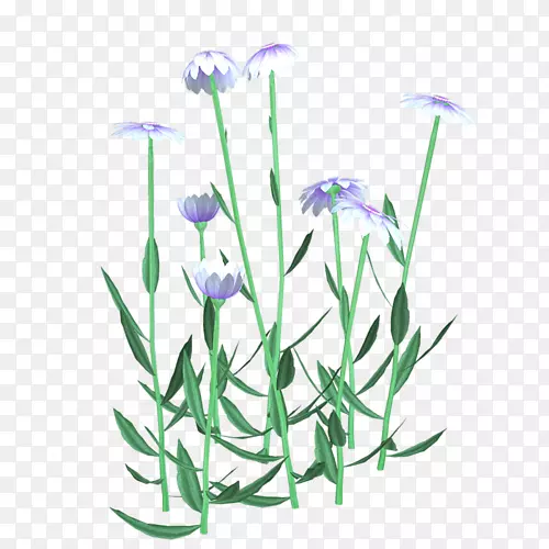 ˮ�ʻ���-������