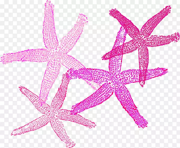 ���Ǽ�����-����-������