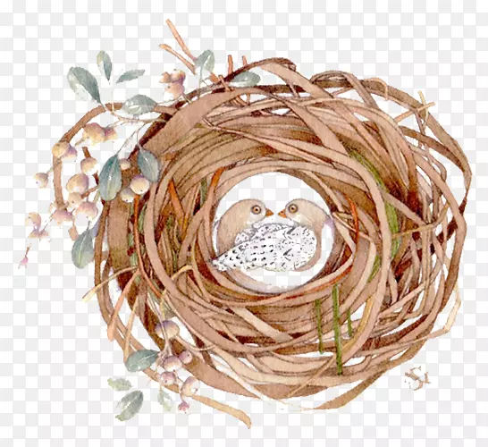 ��ˮ�ʻ��ֻ���-������