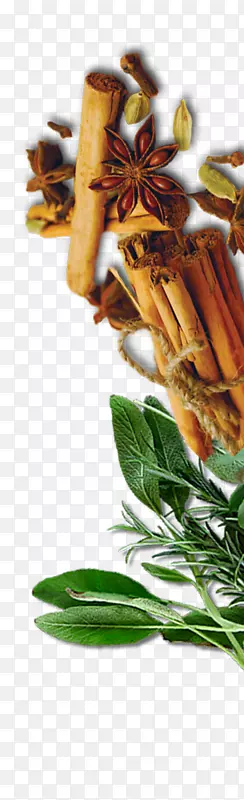 �߲��䷽-�߲�-������