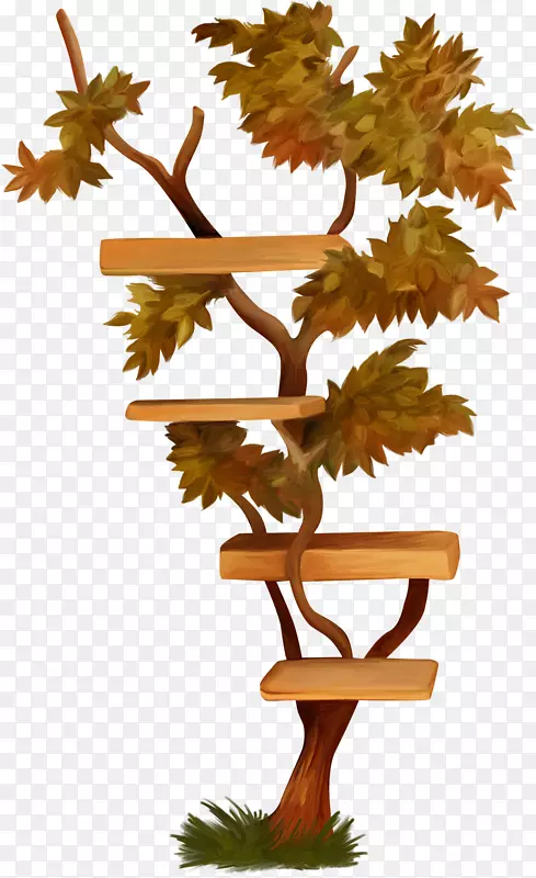 ˮ�ʻ���ľ���ֵؼ�����-������