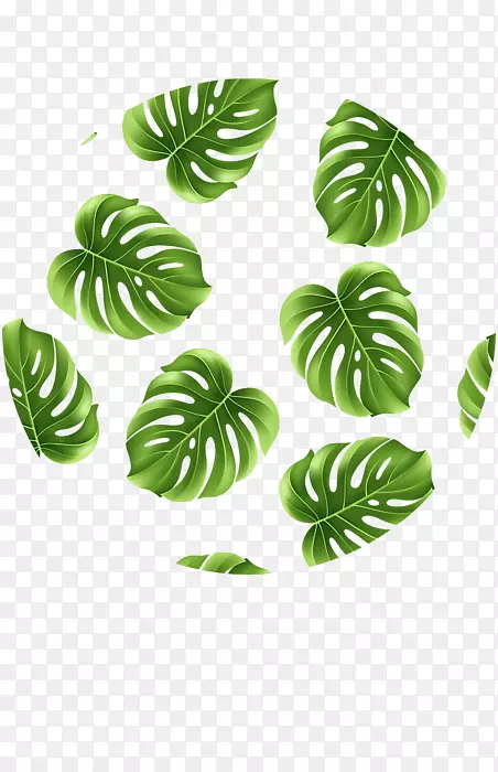 Ҷ����-Ҷ-������