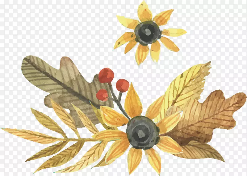 Adobe�廭-ˮ����Ҷ-������