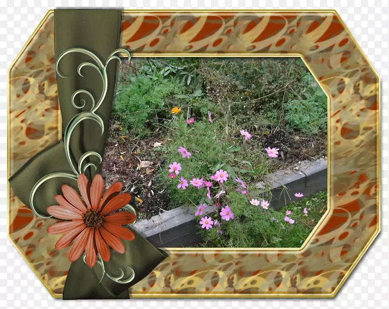 ���ֶ������͹ȸ�ͼƬ-������