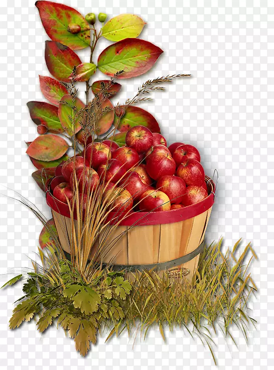 ƻ���������-ƻ��-������