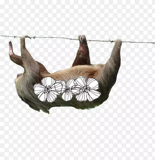 �����°�-������