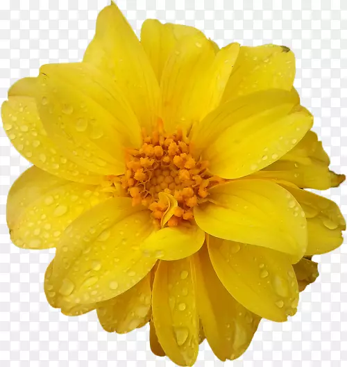 ��������ͨ�ջ�-������