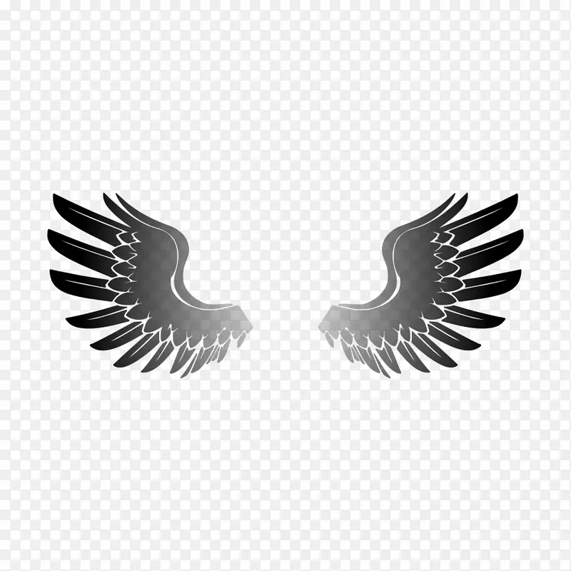 ӥ��������-��������-������