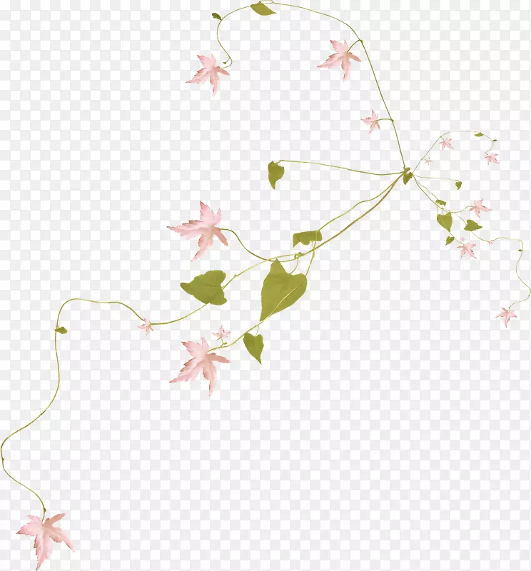 ������-��-������