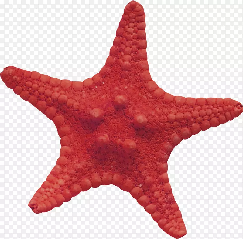 ���ǲ�������ѹ��-����-������