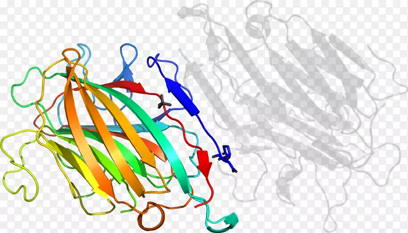 �ߵ����ּ�����-��-������