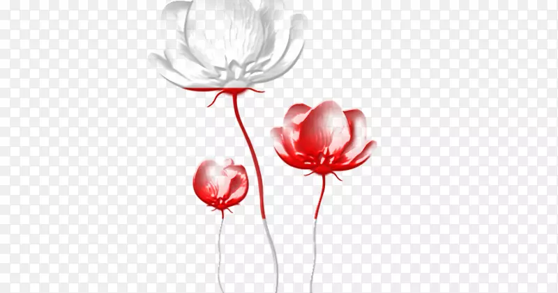 �����ֽ-������