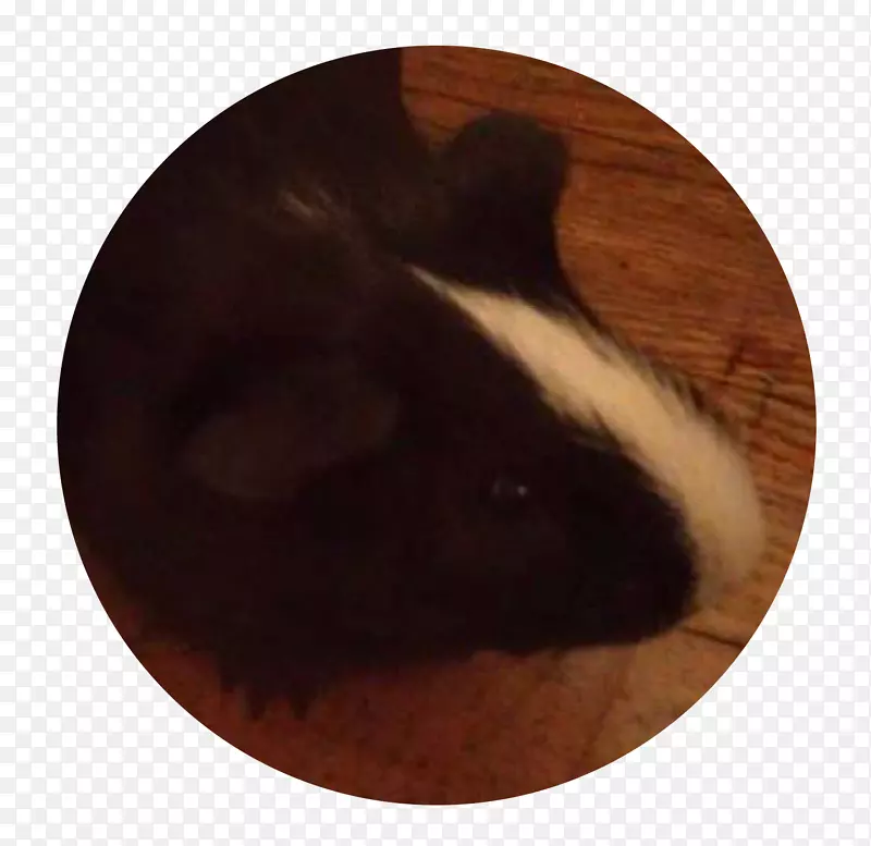 �������������ɫ-������