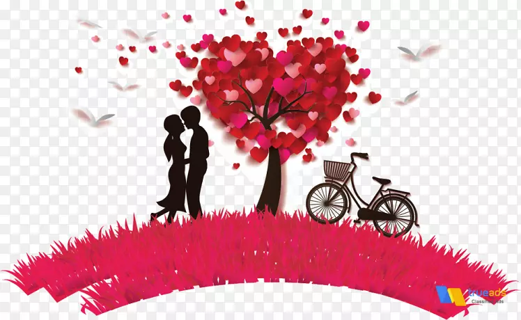 ֽ����������ֽ-������