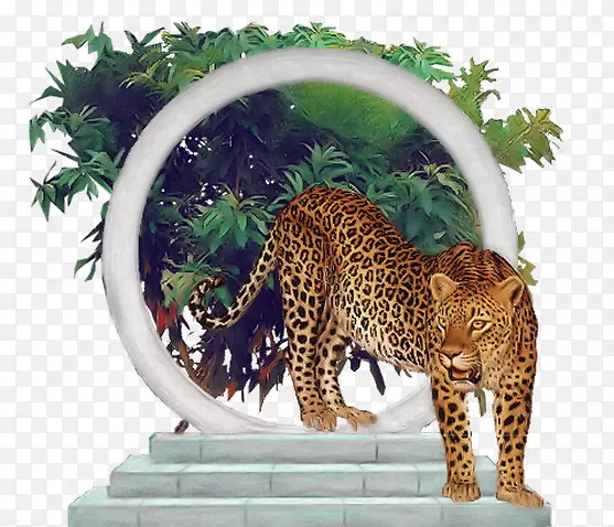 ��è�����ޱ������Ա���-������