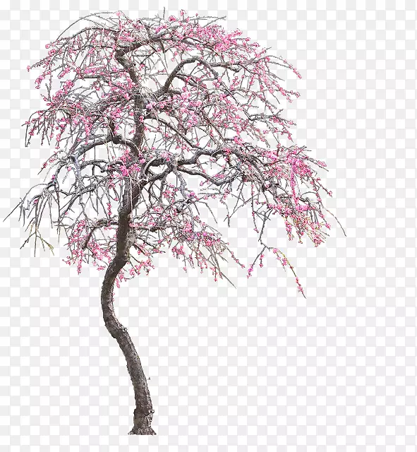 ��ľ������-��-������