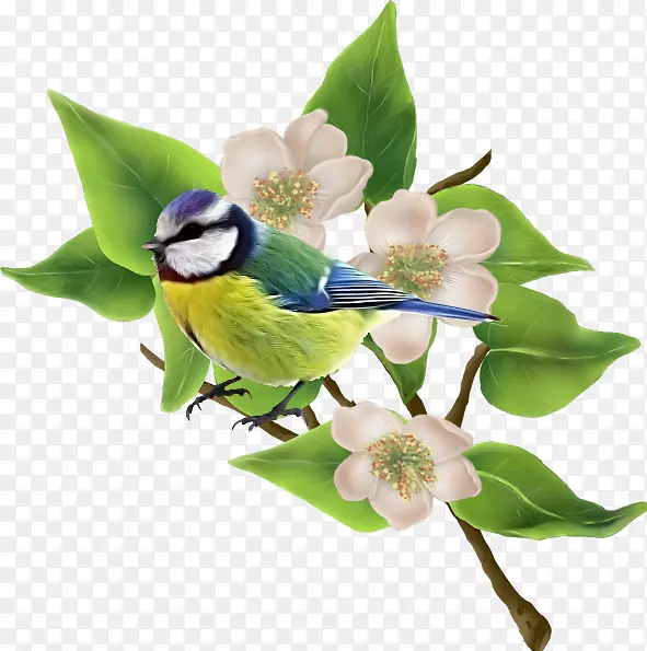 ����ֲ��๻�-������