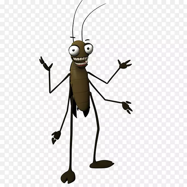 �����ڷ���������-����-������