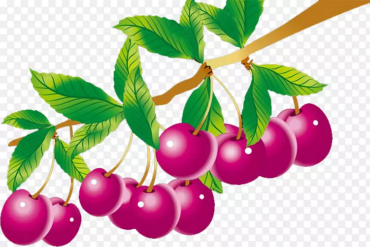 �¸���˹����������ͼ��-ӣ��-������