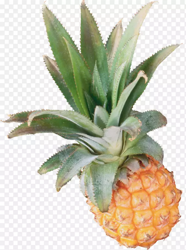 ���������-����-������