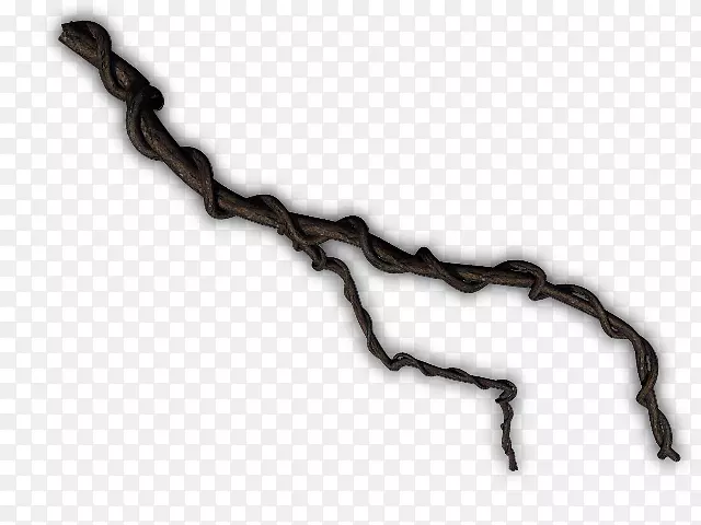 �ٱ�ֲ��-������