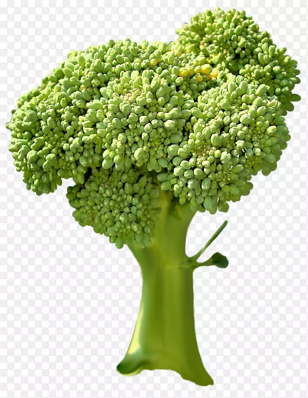 �������߲�-������