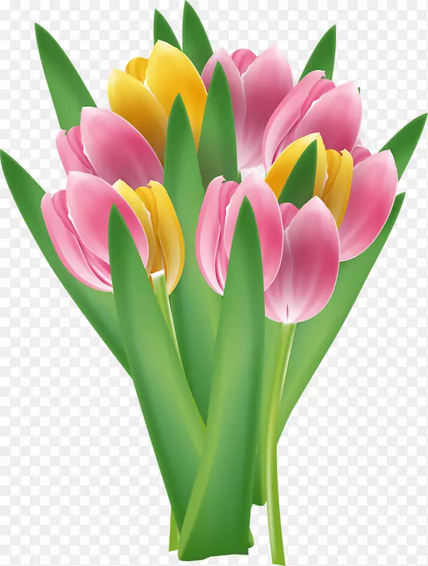 �����㻨-������-������