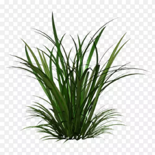 ���Ͳݼ�����-������