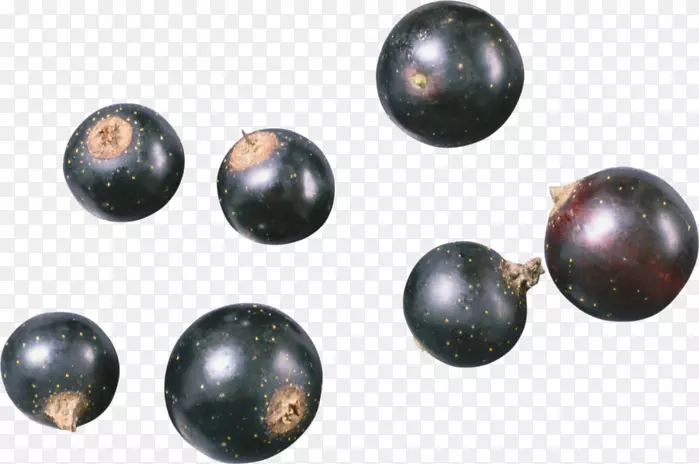 ����غڴ�����ݮ-������