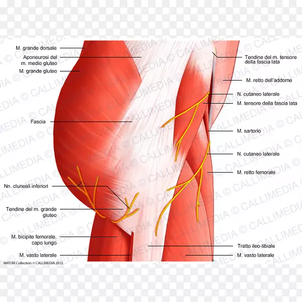 �β�����ϵͳ����-����-������