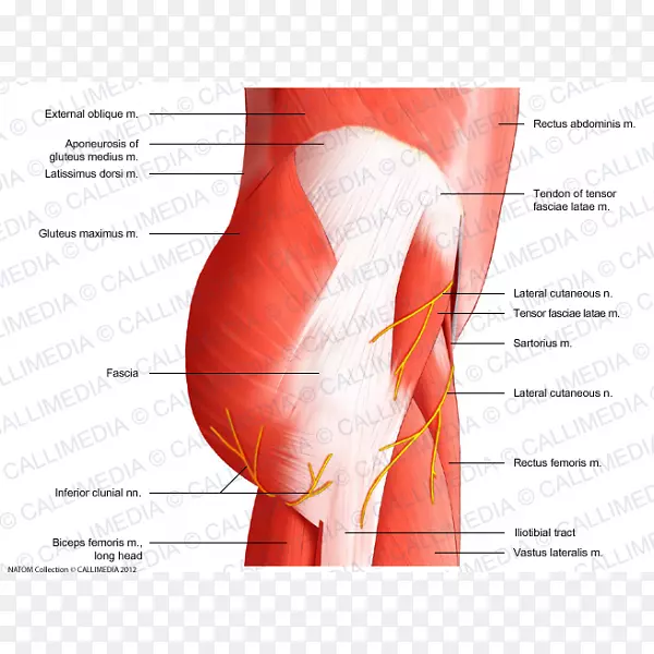 �Źؽڹ��輡��ϵͳ-����-������
