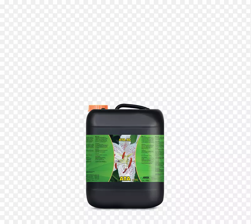 �����δ�-������