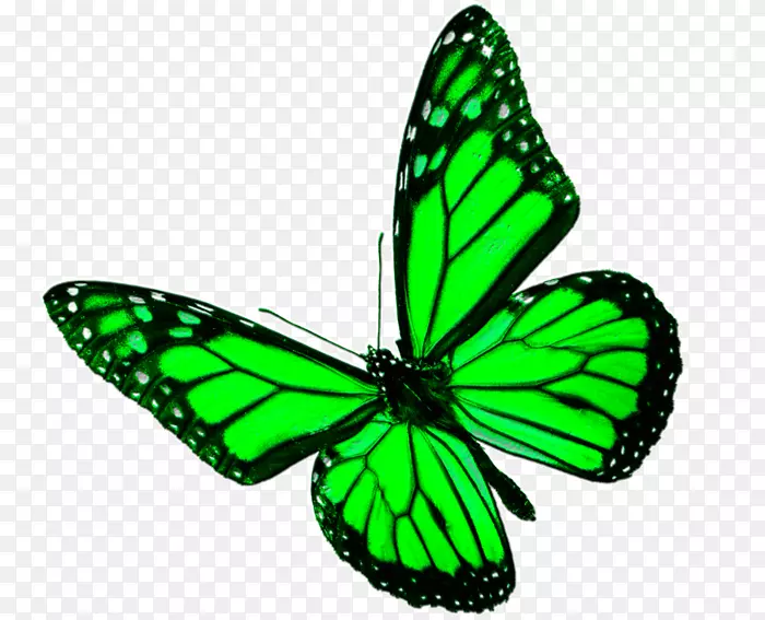 ������������ͼƬ-��Ѻ���-������