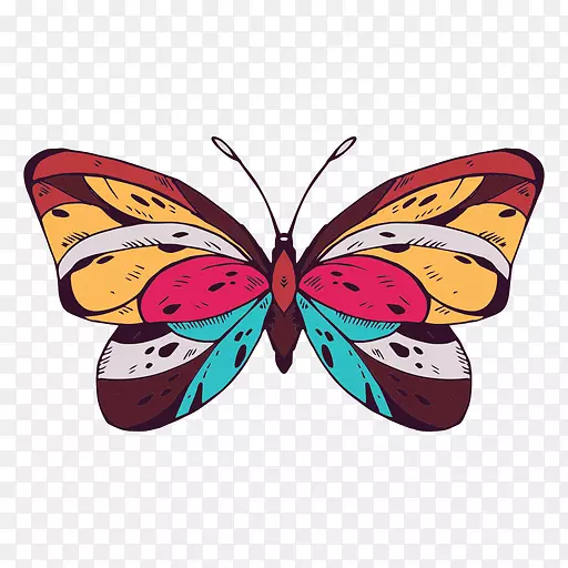 ������������ʻ����-������