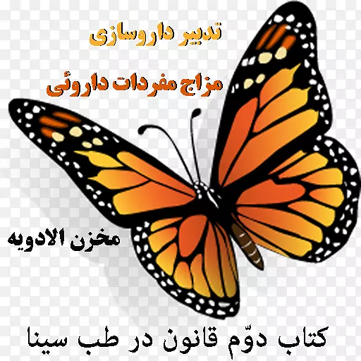 ���������������ͼ��-����-������