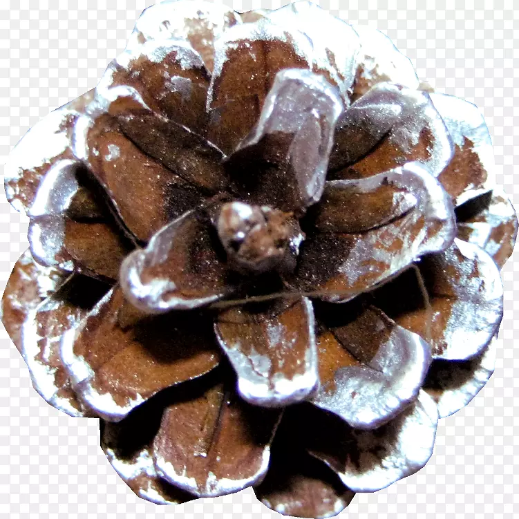 ��-��-������