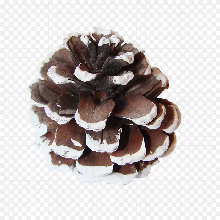 ����Ҷ׶��ɼ������-������