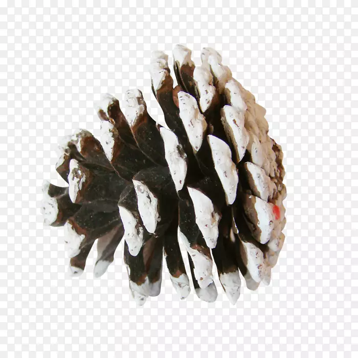 ����Ҷ׶��ɼ������-������