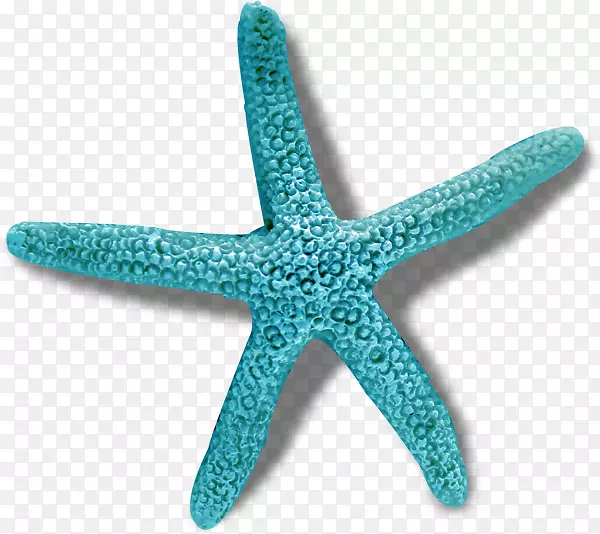 �����ں���-������