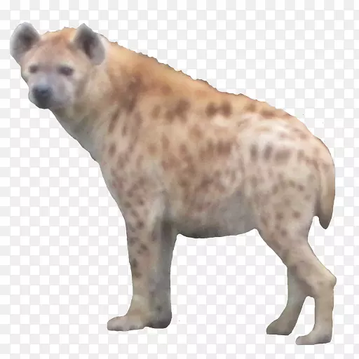 �ȸ����๷��׿-�๷-������