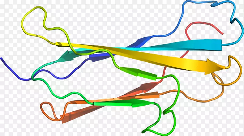 �ߵ������-��-������