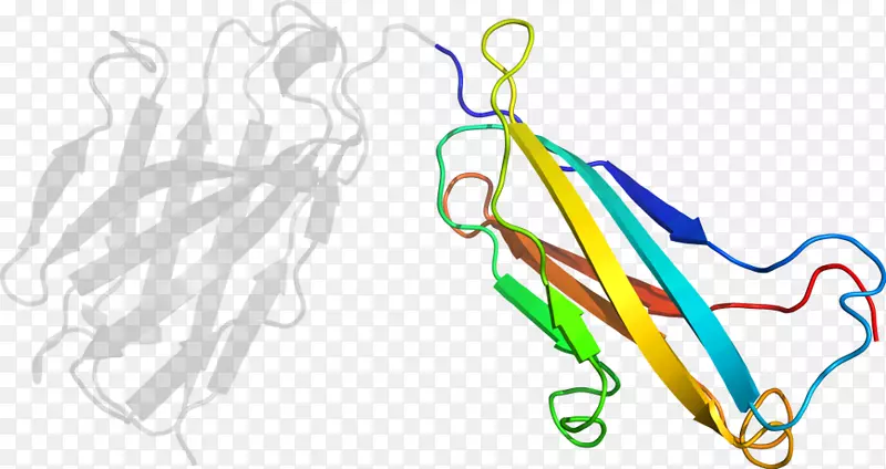 �ߵ������-��-������