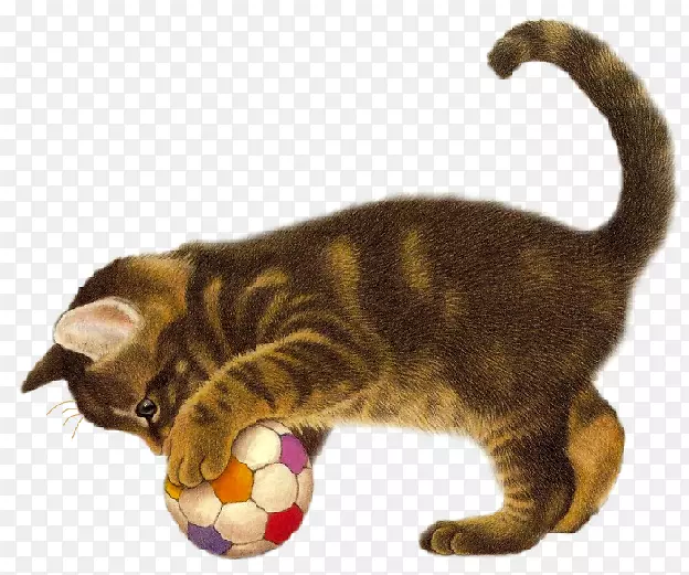 ��������-����-������