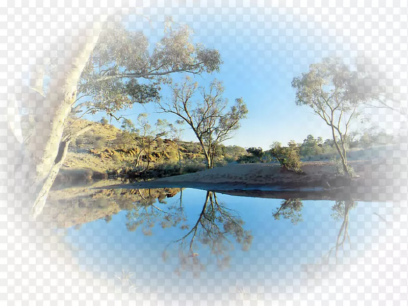 �����ֽ���۲�����Ȼ-������