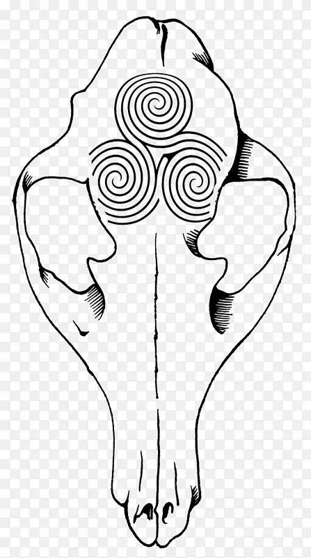 �����Թ����׹��������崩�״�ʯ�����鱦��.���Ӵ���-������