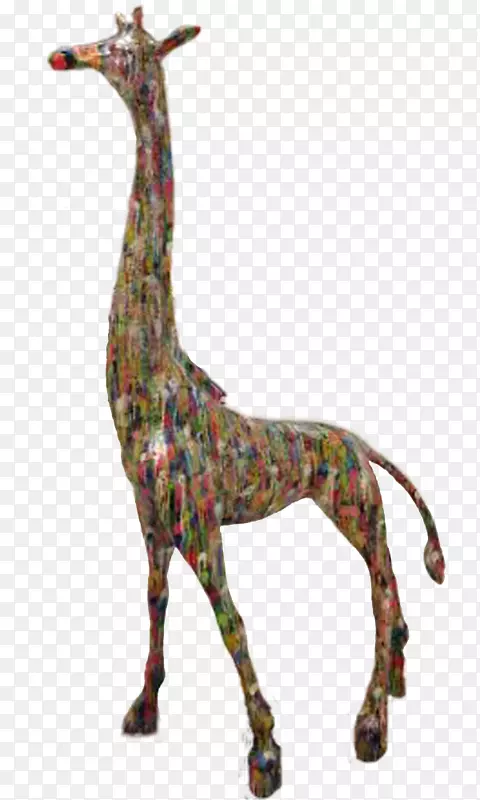 ����¹½�����ﾱҰ�����ﳤ��¹-������