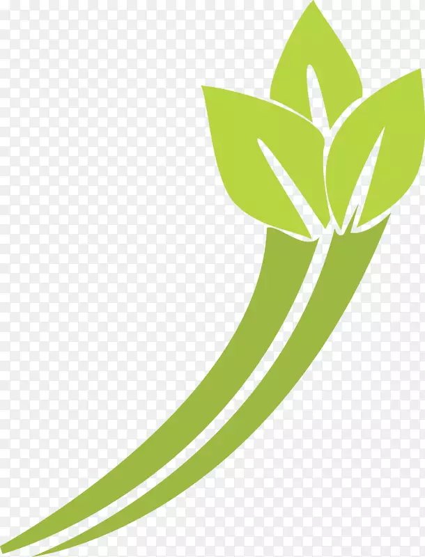 Ҷ��ת�Գ���״Alpana����-����ɫ-������