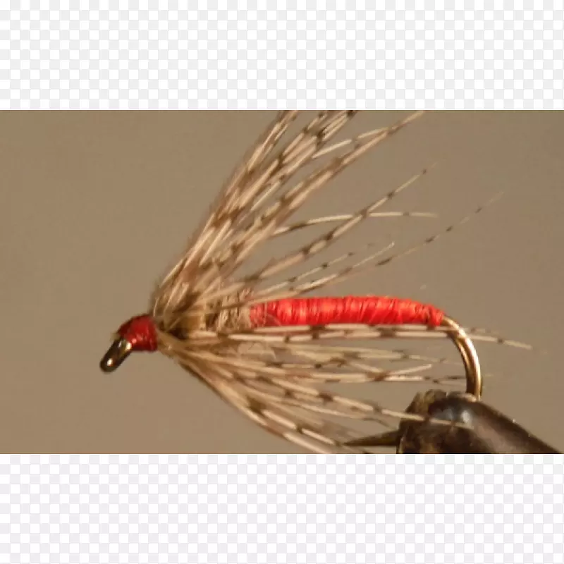 �˹�Ӭ��-������