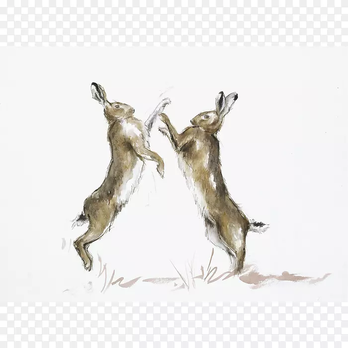 Ұ��ȭ��ˮ�ʻ���׻�-������